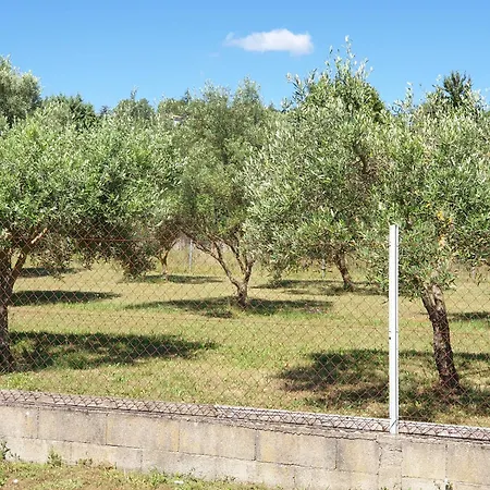 Gite Et Piscine L'Ecrin Aux Oliviers En Cevennes Saint-Christol-lès-Alès Extérieur photo