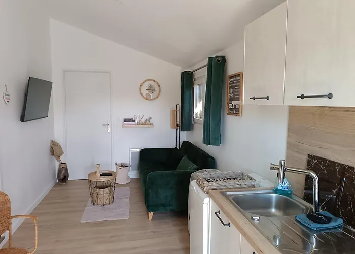 Gite Et Piscine L\'Ecrin Aux Oliviers En Cevennes
