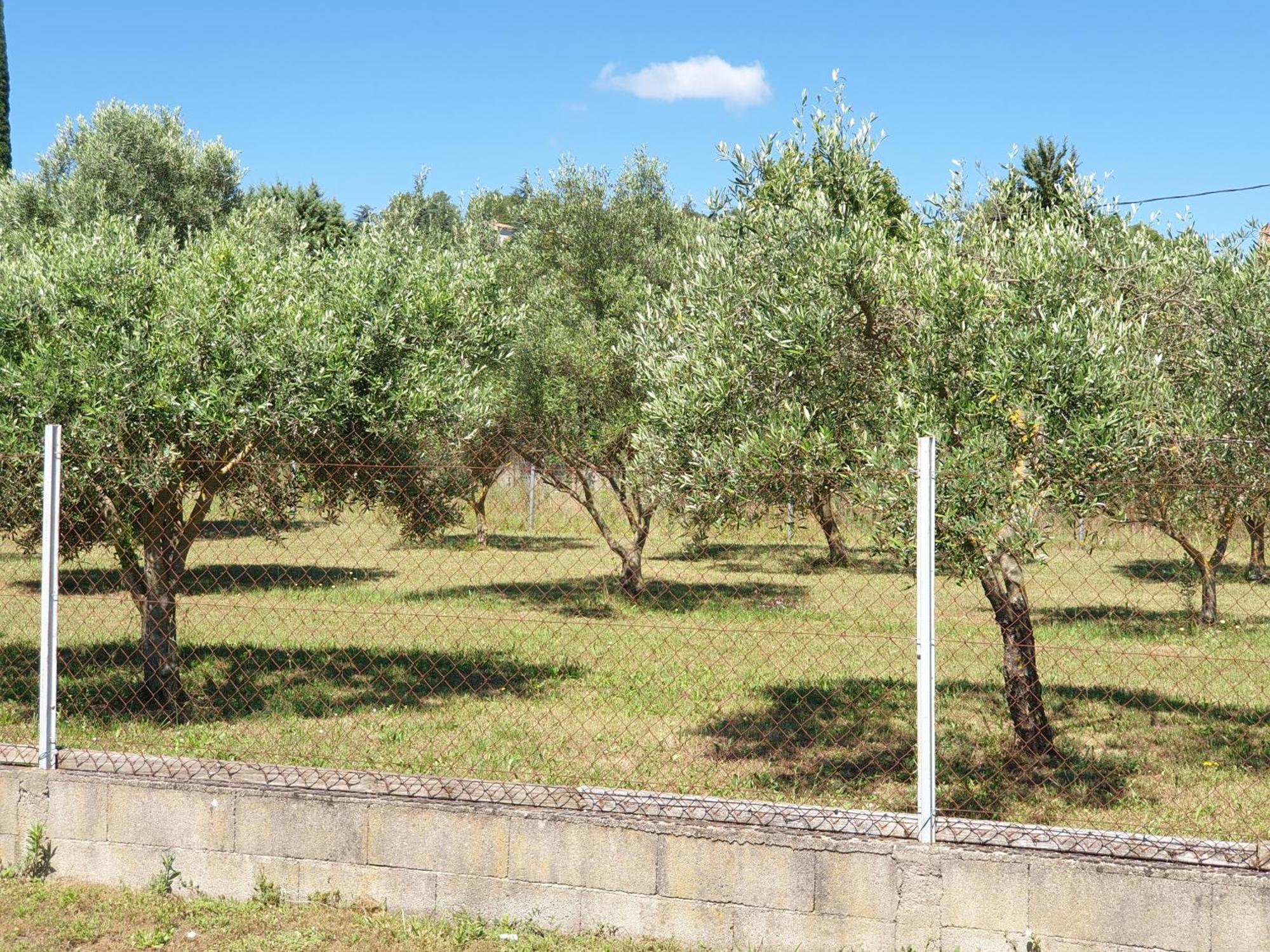Et Piscine L'ecrin Aux Oliviers En Cevennes * Saint-Christol-lès-Alès
