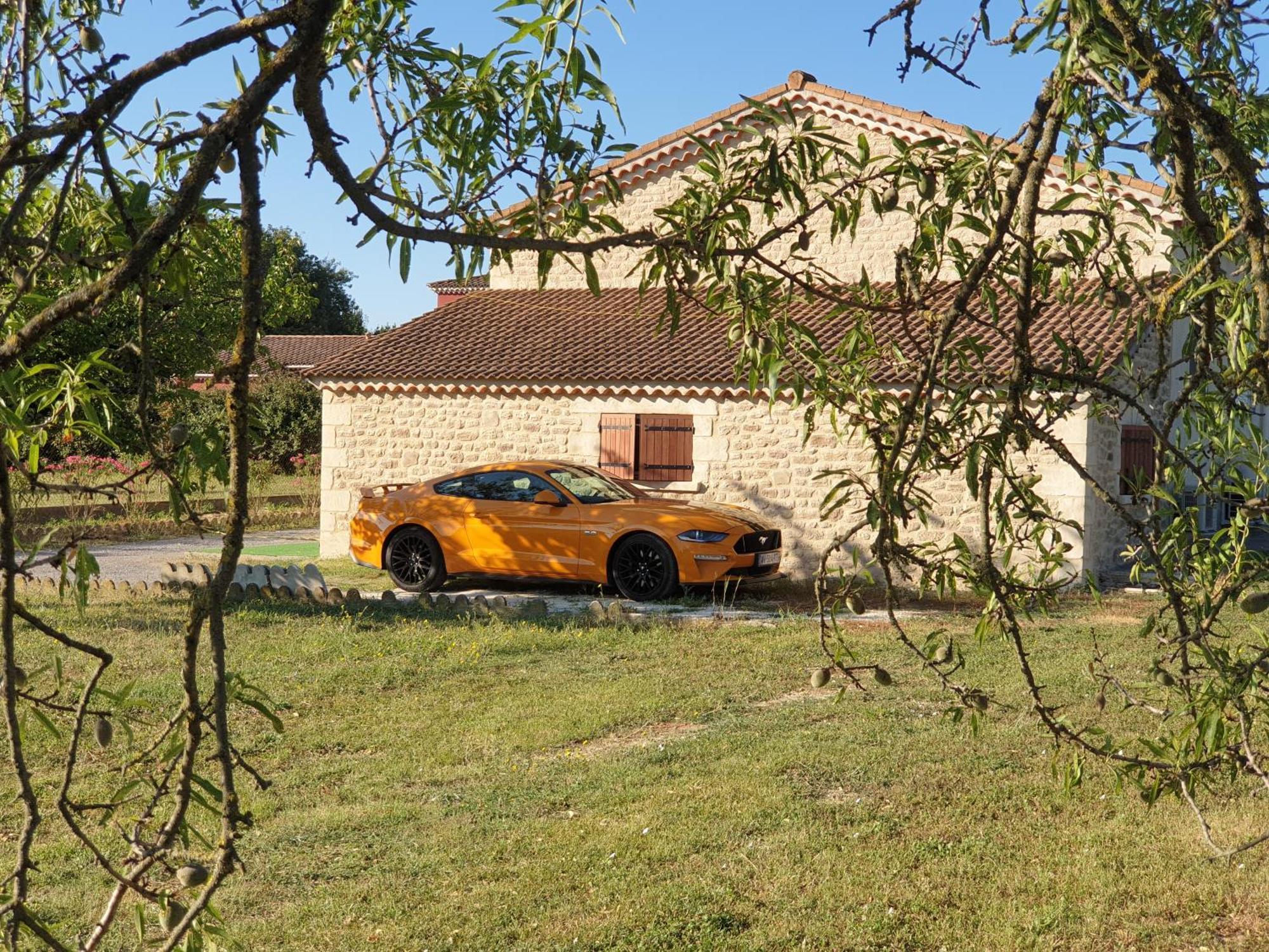 Appartement Et Piscine L'ecrin Aux Oliviers En Cevennes